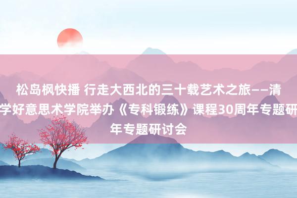 松岛枫快播 行走大西北的三十载艺术之旅——清华大学好意思术学院举办《专科锻练》课程30周年专题研讨会