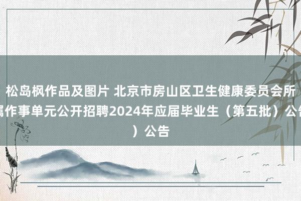 松岛枫作品及图片 北京市房山区卫生健康委员会所属作事单元公开招聘2024年应届毕业生（第五批）公告