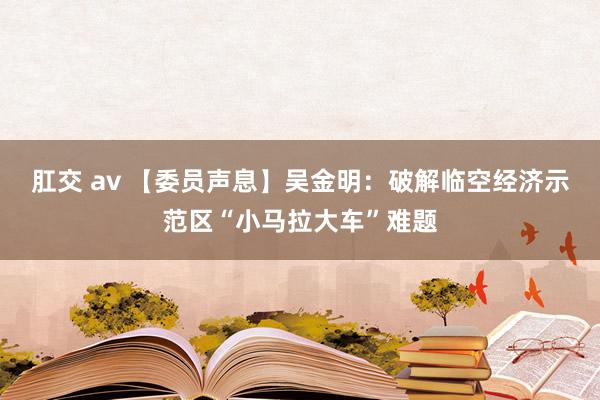 肛交 av 【委员声息】吴金明：破解临空经济示范区“小马拉大车”难题