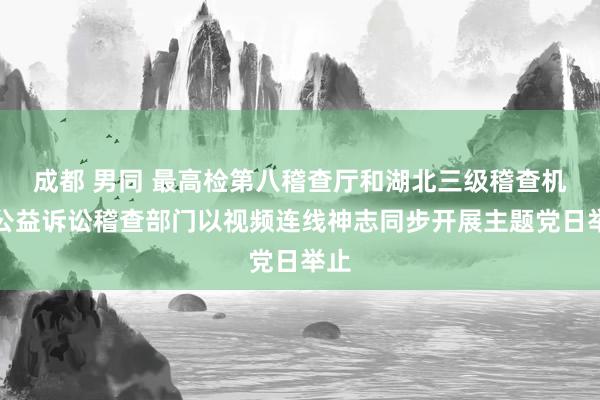 成都 男同 最高检第八稽查厅和湖北三级稽查机关公益诉讼稽查部门以视频连线神志同步开展主题党日举止