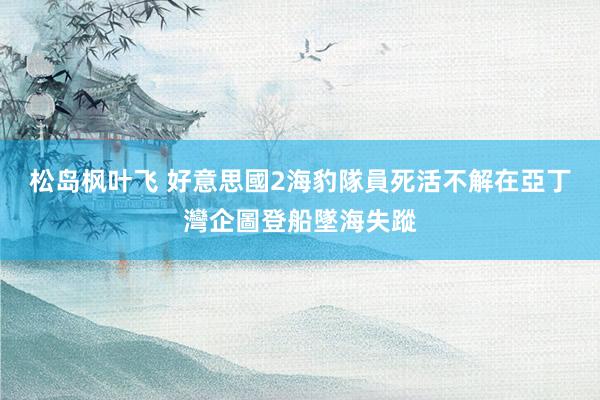 松岛枫叶飞 好意思國2海豹隊員死活不解　在亞丁灣企圖登船墜海失蹤