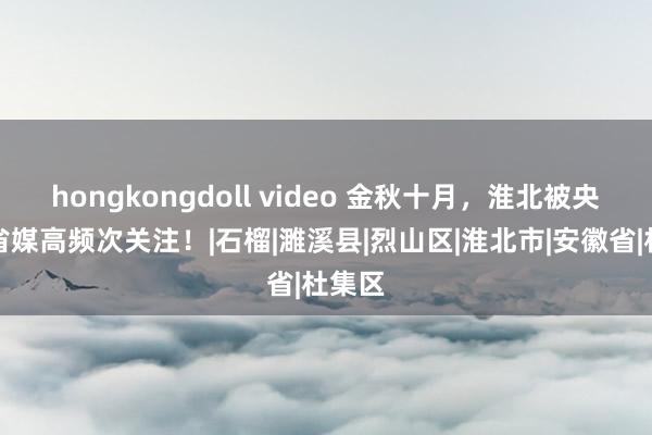 hongkongdoll video 金秋十月，淮北被央媒、省媒高频次关注！|石榴|濉溪县|烈山区|淮北市|安徽省|杜集区