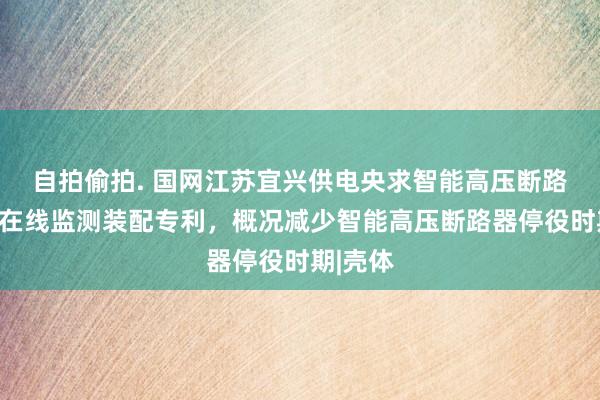 自拍偷拍. 国网江苏宜兴供电央求智能高压断路器气体在线监测装配专利，概况减少智能高压断路器停役时期|壳体