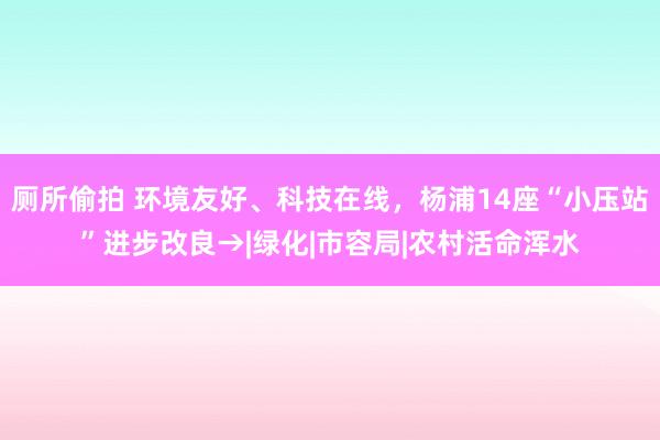 厕所偷拍 环境友好、科技在线，杨浦14座“小压站”进步改良→|绿化|市容局|农村活命浑水