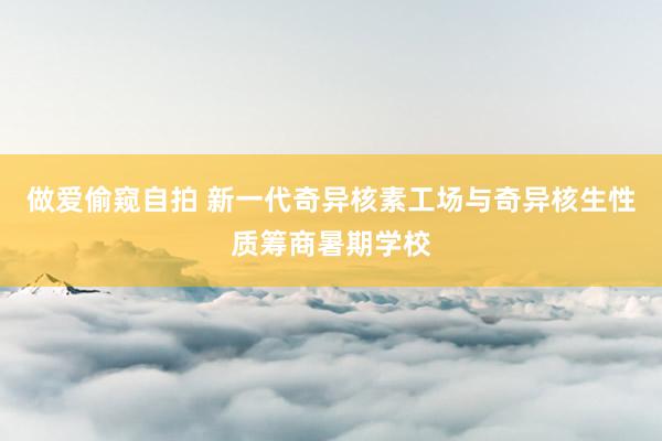 做爱偷窥自拍 新一代奇异核素工场与奇异核生性质筹商暑期学校