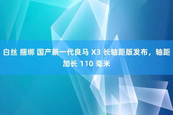 白丝 捆绑 国产新一代良马 X3 长轴距版发布，轴距加长 110 毫米