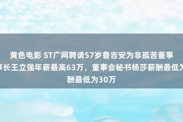 黄色电影 ST广网聘请57岁鲁吉安为非孤苦董事，董事长王立强年薪最高63万，董事会秘书杨莎薪酬最低为30万