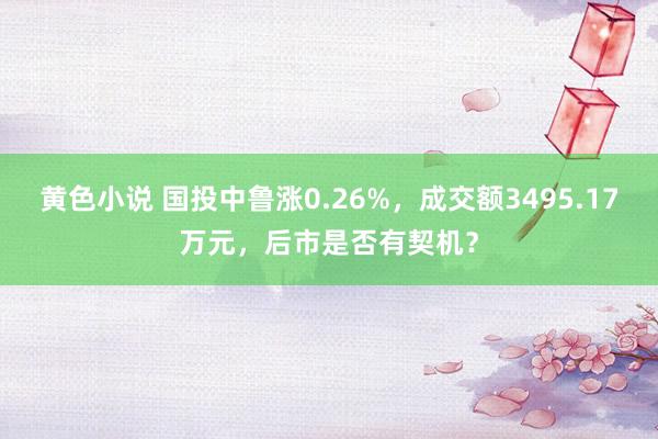 黄色小说 国投中鲁涨0.26%，成交额3495.17万元，后市是否有契机？