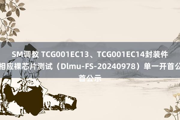 SM调教 TCG001EC13、TCG001EC14封装件及相应裸芯片测试（Dlmu-FS-20240978）单一开首公示